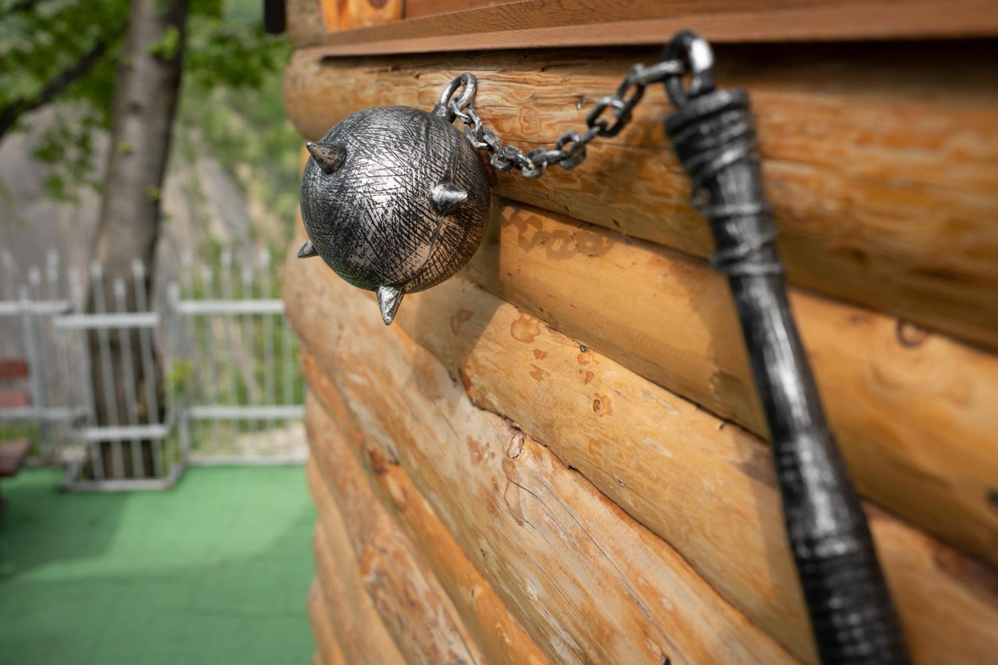 Barlogul Vikingilor Pensión *