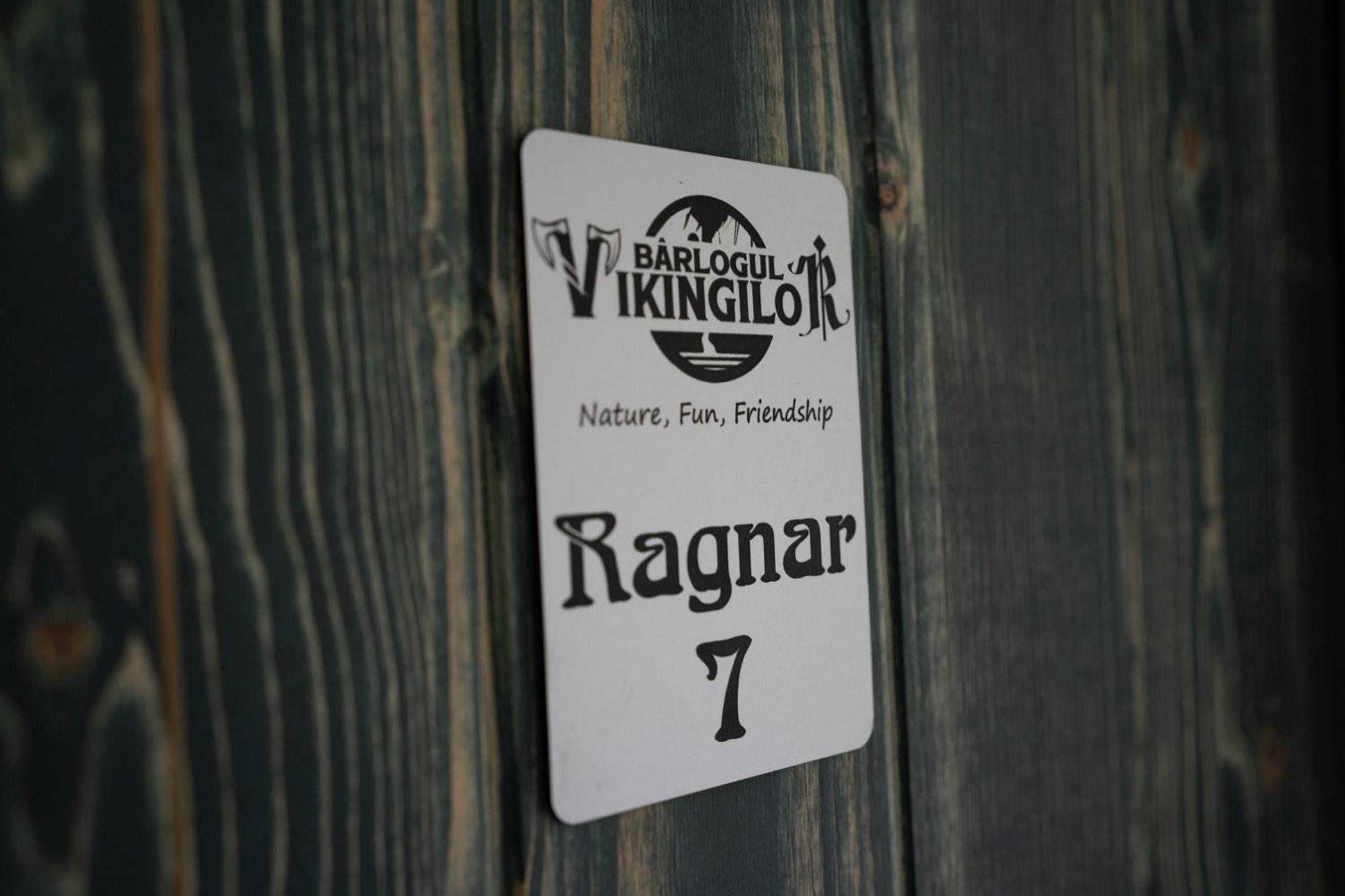 Pensión Barlogul Vikingilor *